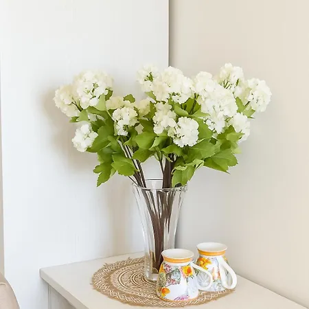 Aria Di Sale Bed & Breakfast